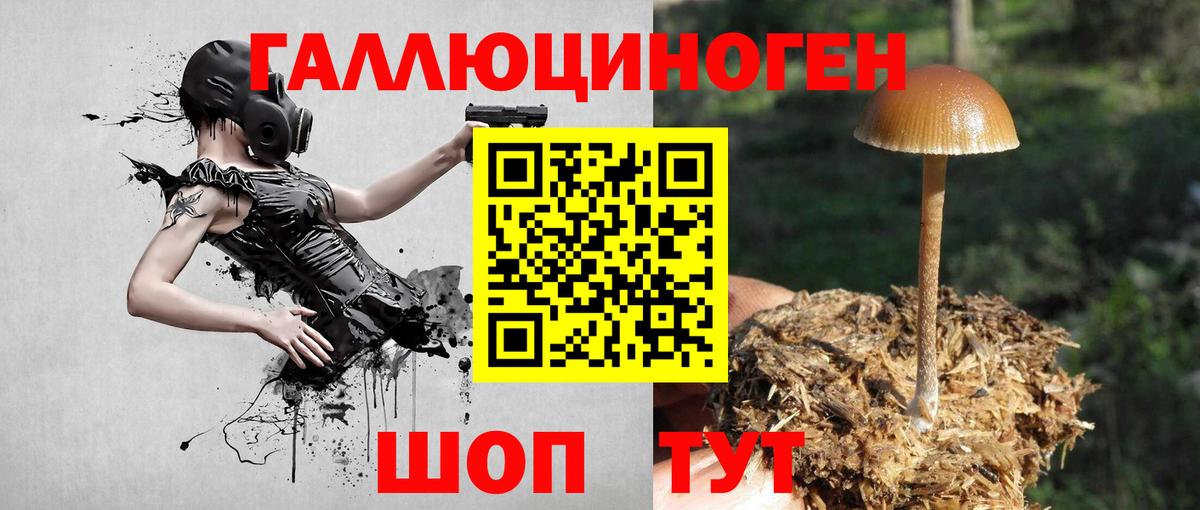 Галлюциногенные грибы GOLDEN TEACHER Еманжелинск