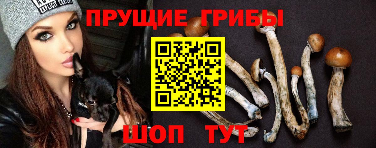 Еманжелинск  Псилоцибиновые грибы Magic Shrooms  Вход с VPN 